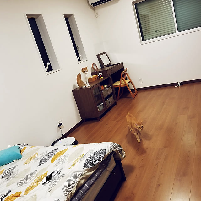 takoyakiさんの実例写真