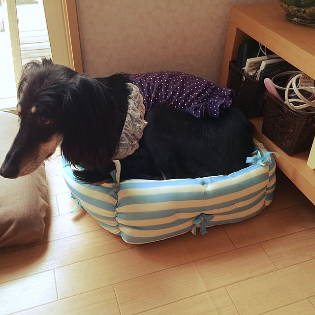 amihimeさんの実例写真
