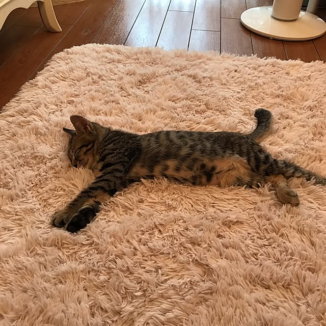 emikoさんの実例写真