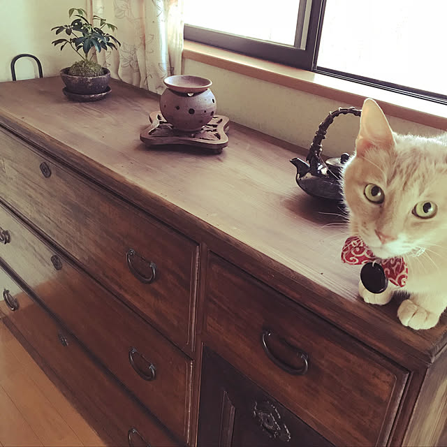 mikan161さんの実例写真