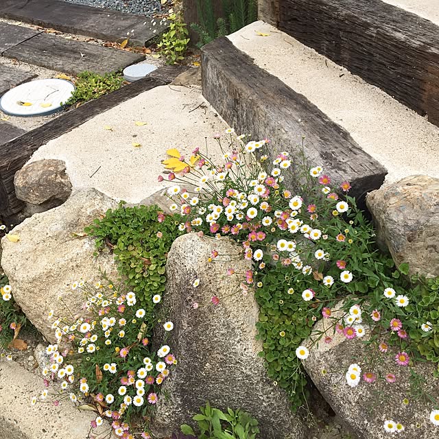 Tomokoさんの実例写真