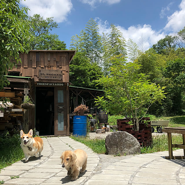etsuさんの実例写真