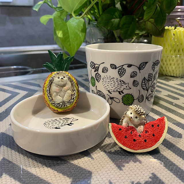 Aqettyさんの部屋