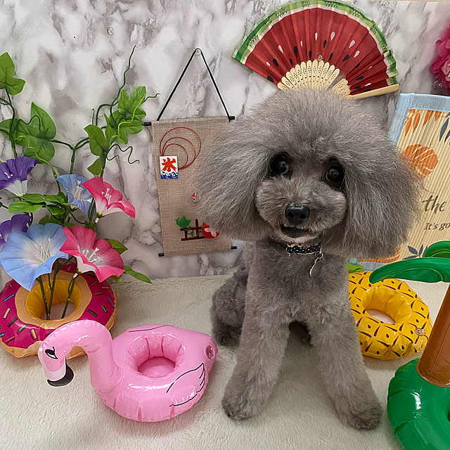 kaoさんの実例写真