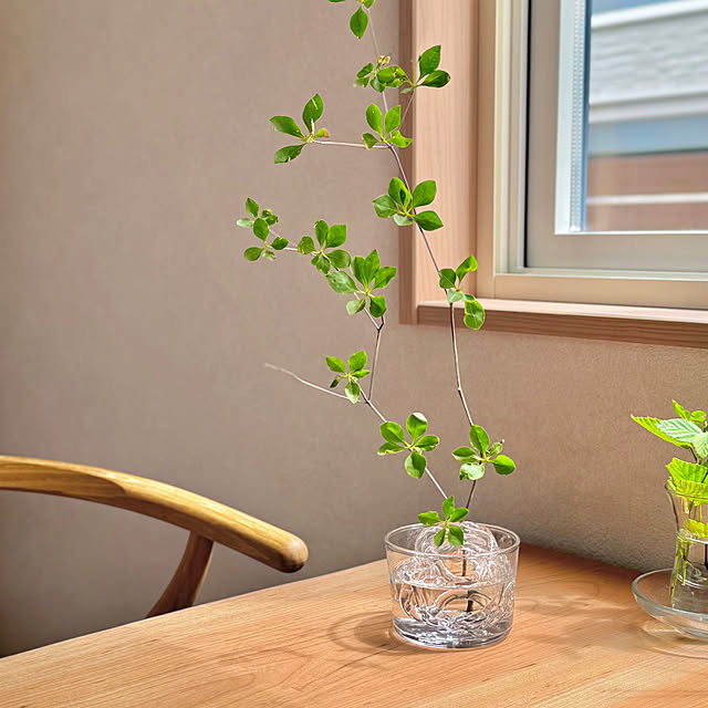 umiohouseさんの部屋