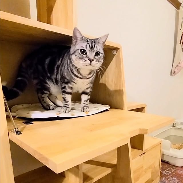 lovepeaceさんの実例写真