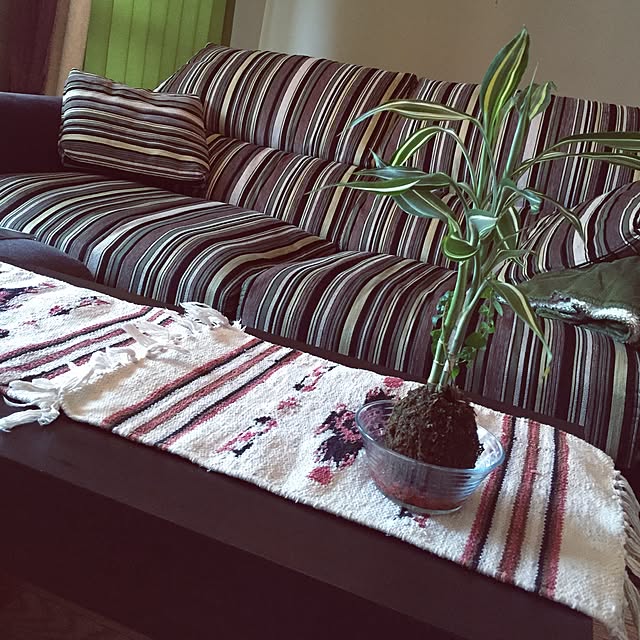 eringi0404さんの実例写真