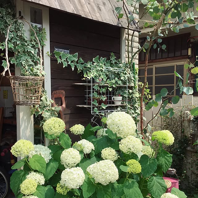 eriさんの実例写真