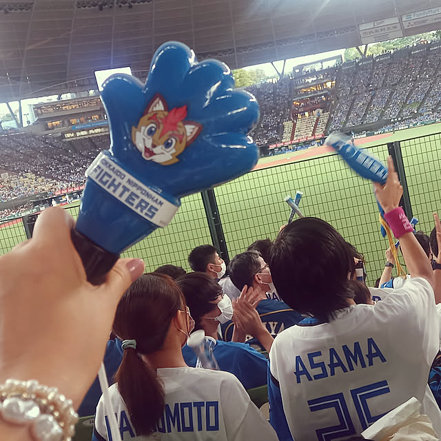 実例写真