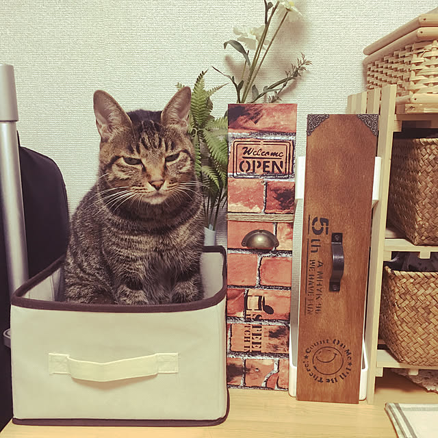 shigimiさんの実例写真