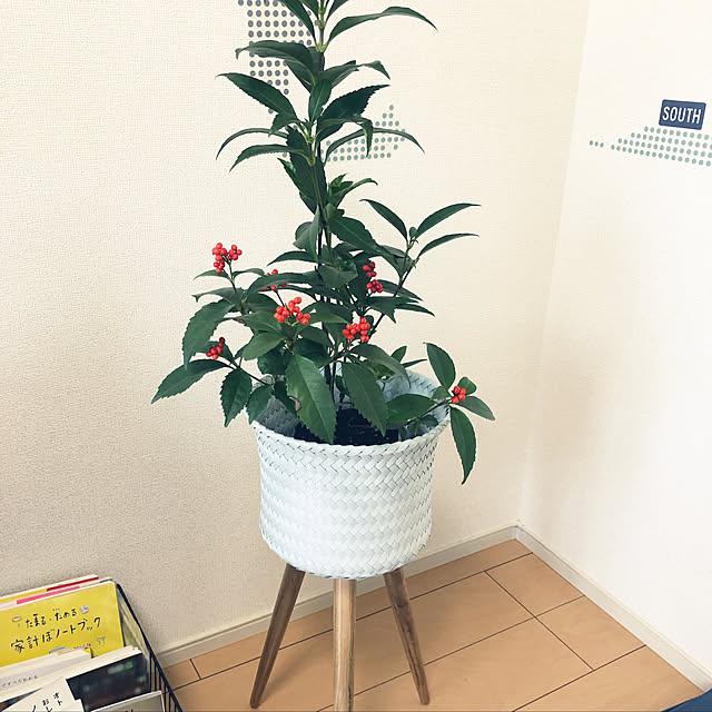 lunlunrinkunさんの実例写真