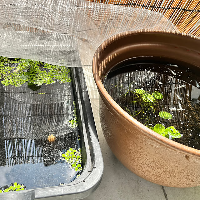 mokaさんの部屋