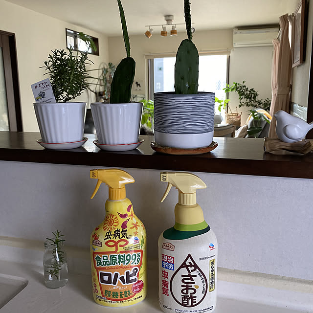 alchoさんの実例写真