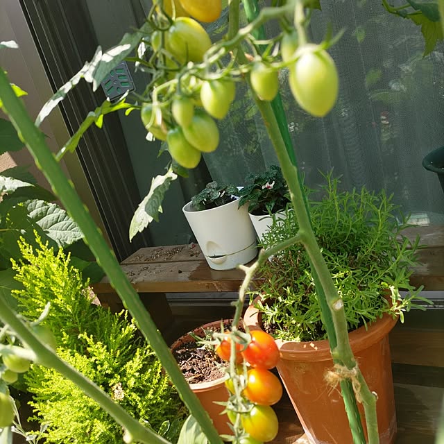 yuuさんの部屋