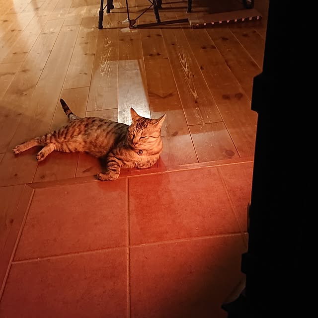 chamiさんの実例写真