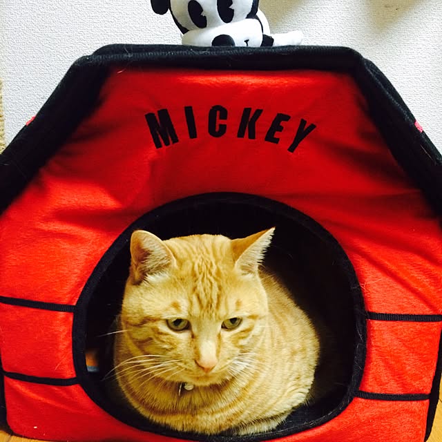 hrhさんの実例写真