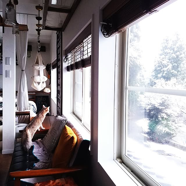 nekogurumaさんの実例写真