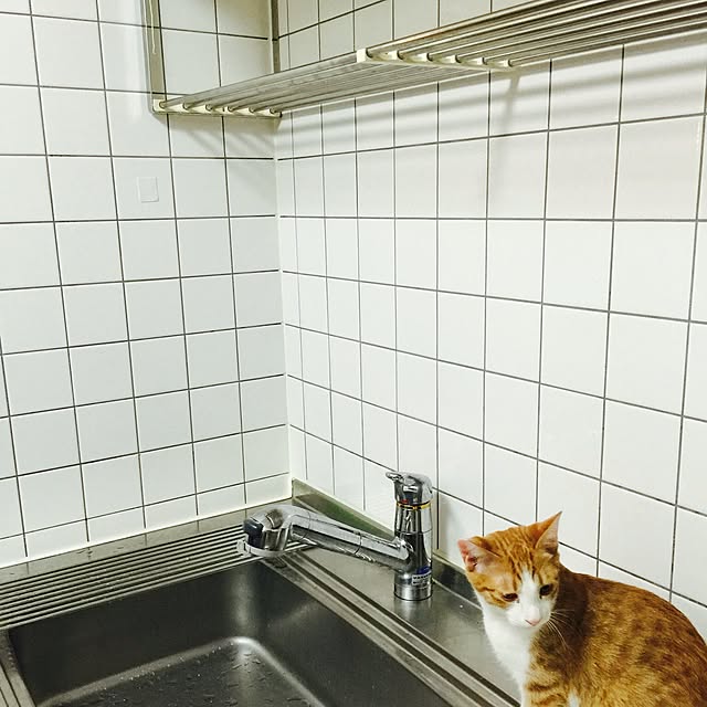 haney07さんの実例写真