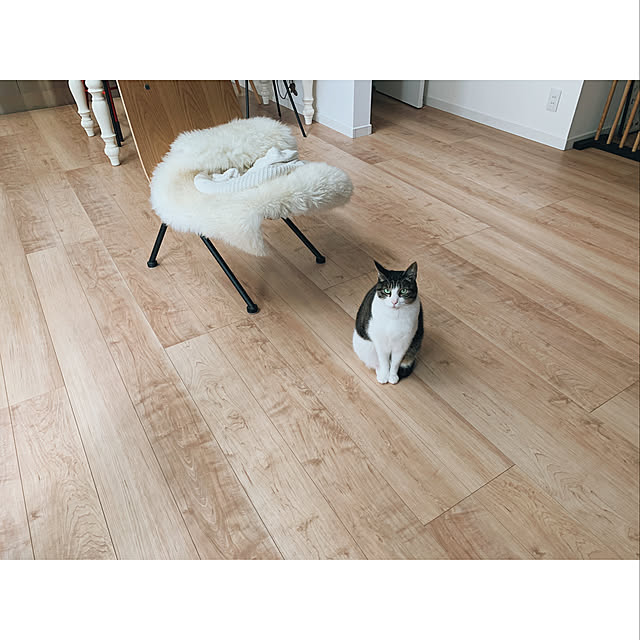 aさんの実例写真
