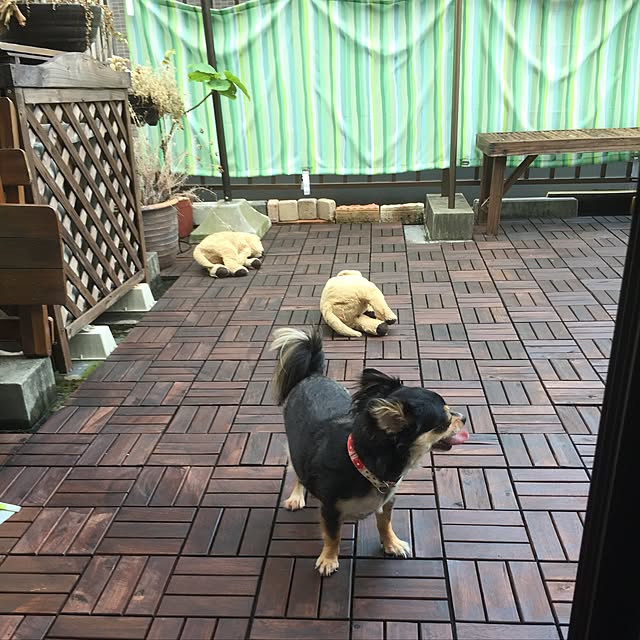 実例写真