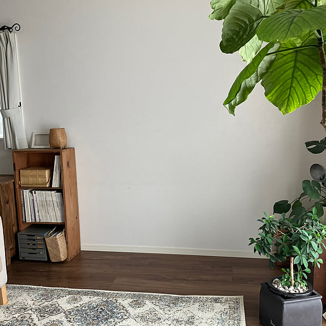 anpanman-baikinmanさんの実例写真