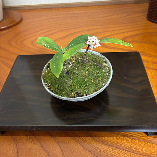 chIoeさんの部屋