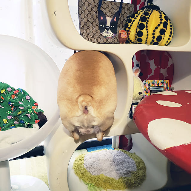 ayucchiさんの実例写真