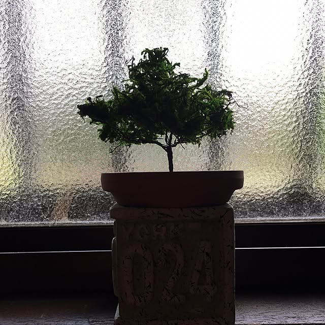 sakuranboさんの実例写真