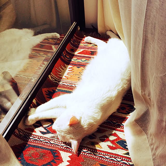 Mさんの実例写真