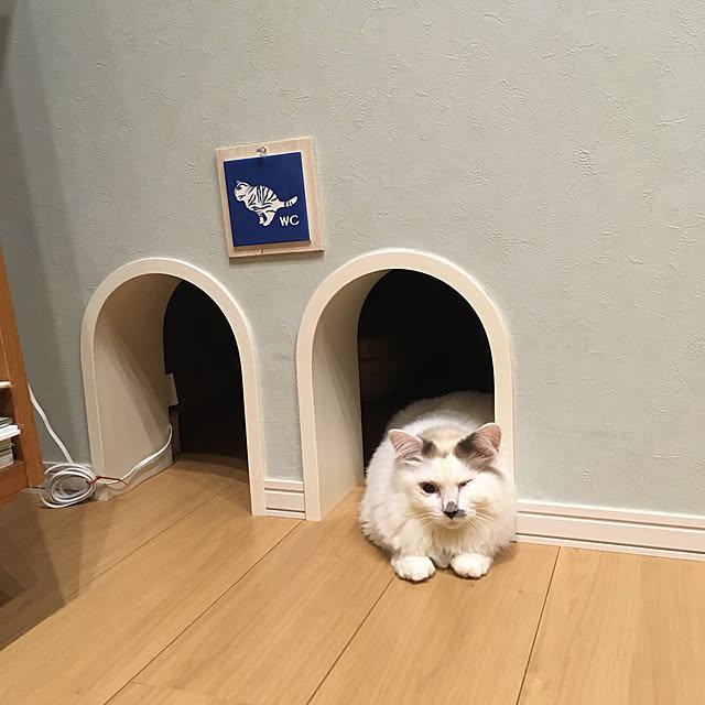 nyancohomeさんの実例写真