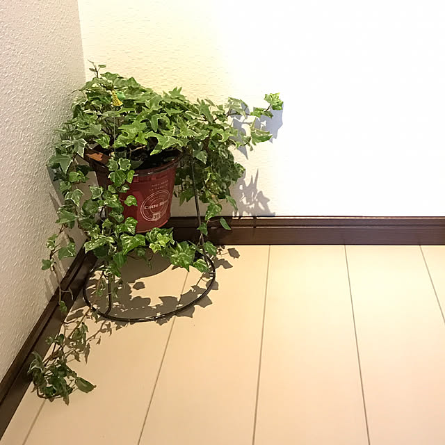 runbaさんの実例写真