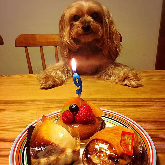 popiさんの実例写真