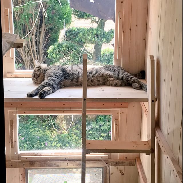 shukran_kinakoさんの実例写真