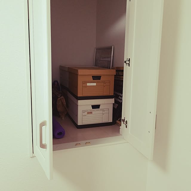 Mさんの実例写真