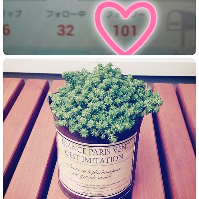 PONさんの実例写真