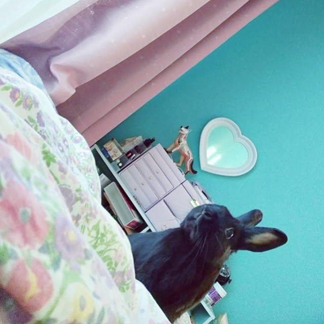 ikimonoさんの実例写真