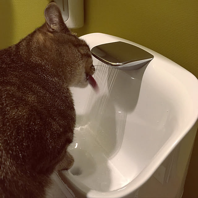 mikomaruさんの実例写真