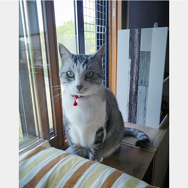 mntcさんの実例写真