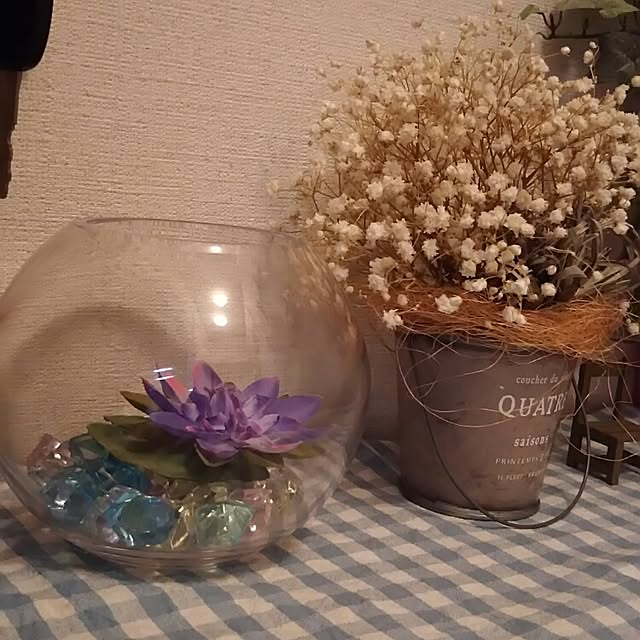naopyiさんの実例写真