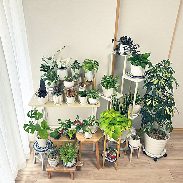 yoyoyoさんの実例写真