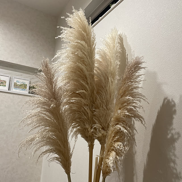 rakkoさんの実例写真