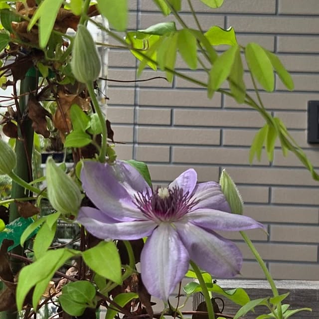 mitsuyama3136さんの部屋