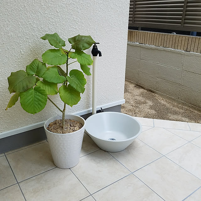 ayumiさんの実例写真