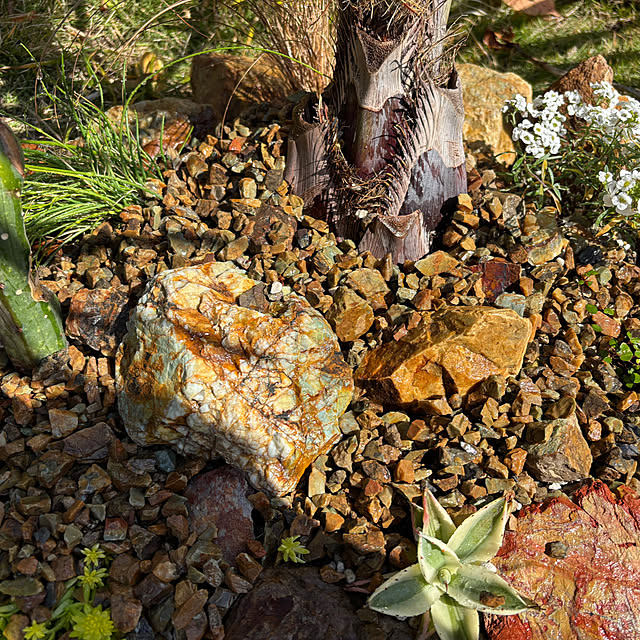 bonjiri0824さんの実例写真