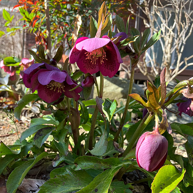 ikubooさんの部屋