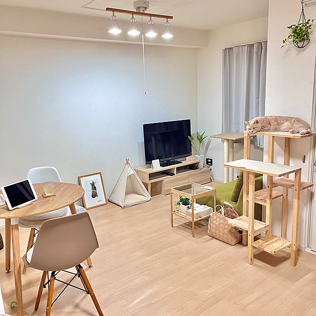 kiyomiさんの部屋