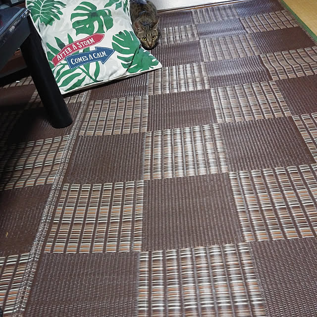 tantomeenさんの実例写真
