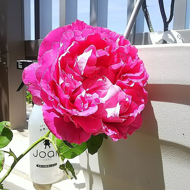 hiromimiさんの実例写真