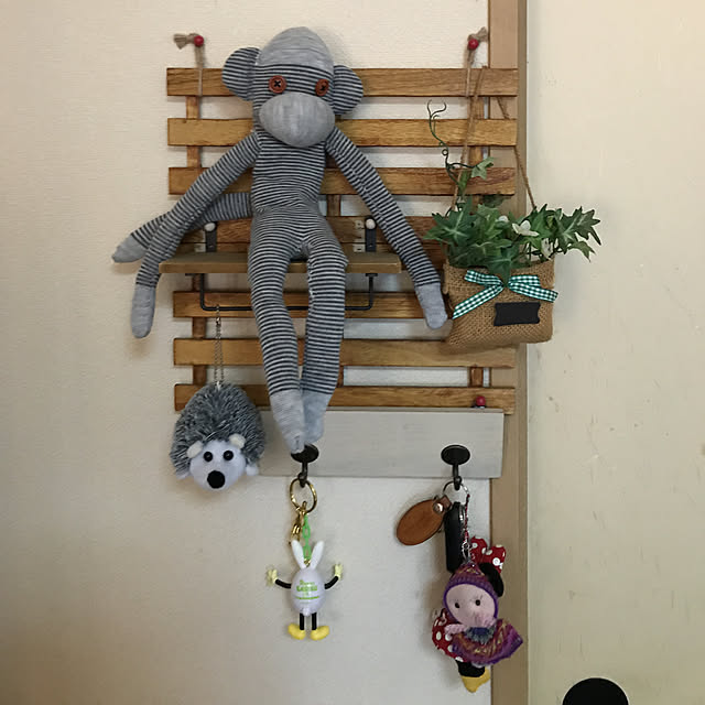 momoさんの実例写真