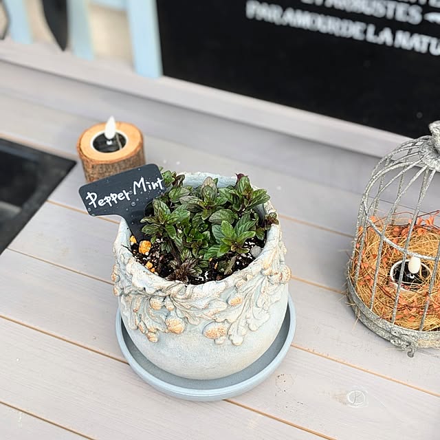 purpureさんの部屋